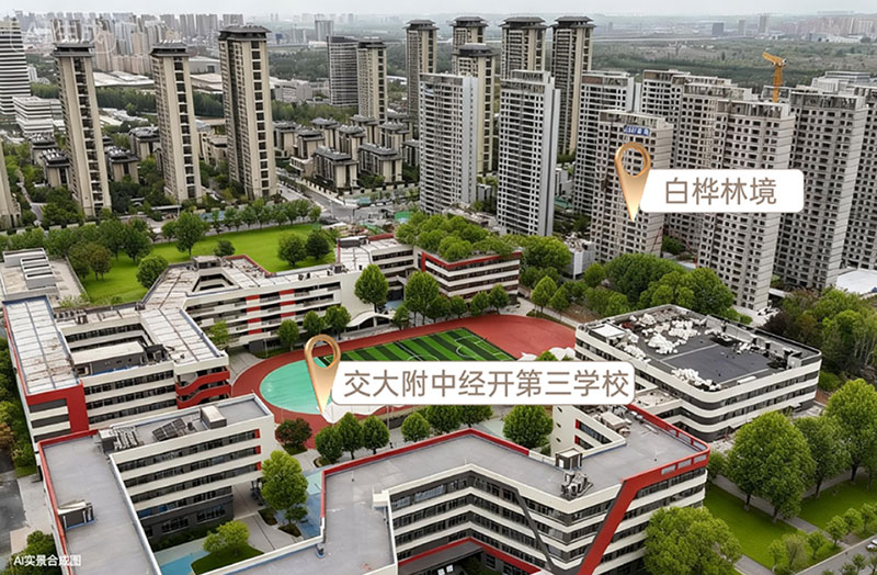白桦林境 | 家门口的交大附中，共筑成长高地
