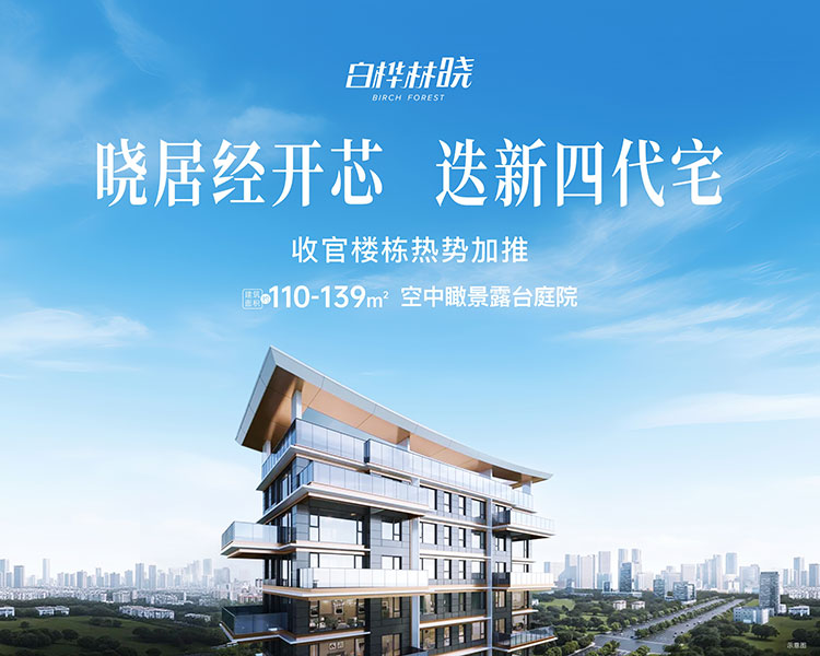 白桦林晓