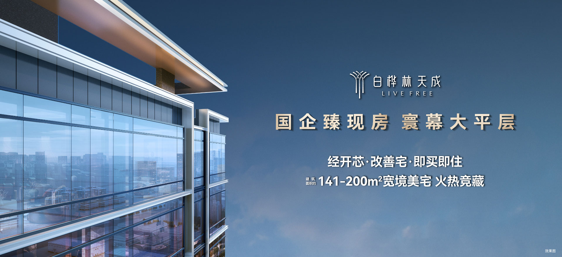 白桦林天成
