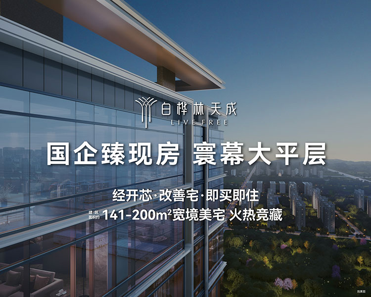 白桦林天成