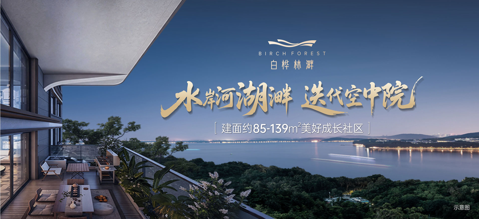 白桦林溿