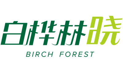 白桦林晓