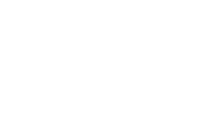 白桦林晓