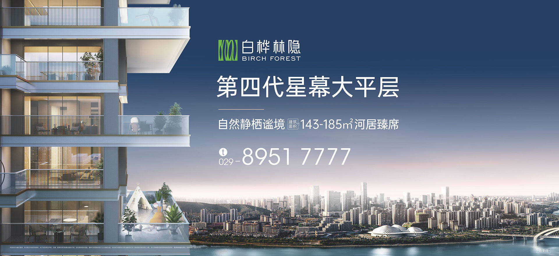 白桦林隐