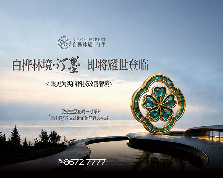白桦林境｜汀墨