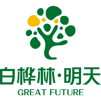 白桦林明天